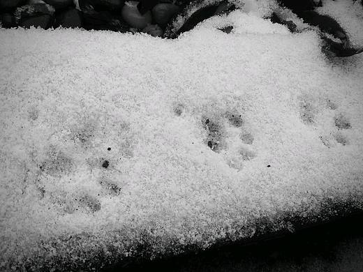 生活不是我們度過的日子，而是我們記錄的日子（個(gè)人主頁(yè)-ZMzUyMTA4ODQ=） - 人文/紀(jì)實(shí)攝影 - 站酷設(shè)計(jì)師腳板丫原創(chuàng)素材 - 站酷ZCOOL