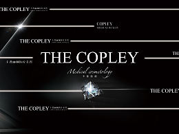 渠道医美活动背景展板