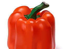 AI绘制的红辣椒