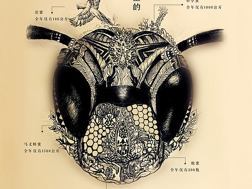 为自己品牌做插画