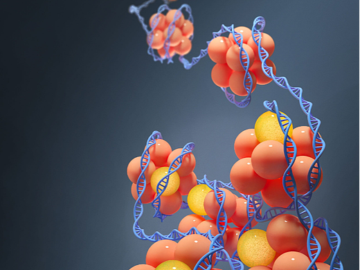 学术期刊封面设计 SCI科研绘图