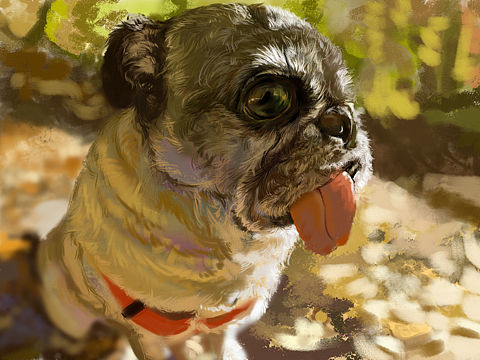 狗（個(gè)人主頁(yè)-ZNDkyMzU3Njg=） - 繪本 - 站酷設(shè)計(jì)師勺菜原創(chuàng)素材 - 站酷ZCOOL