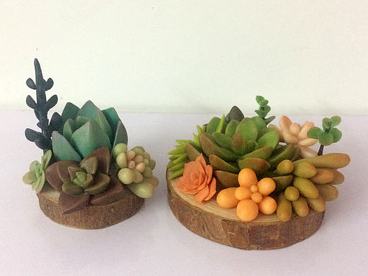 粘土多肉组合盆栽