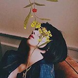 几番Q的头像