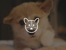 宠物icon