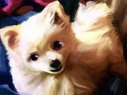 vivi（个人主页-ZMjQyMjk4OA==） - 创作习作 - 站酷设计师半圈心原创素材 - 站酷ZCOOL