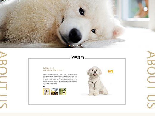 企业网站，阿猫阿狗