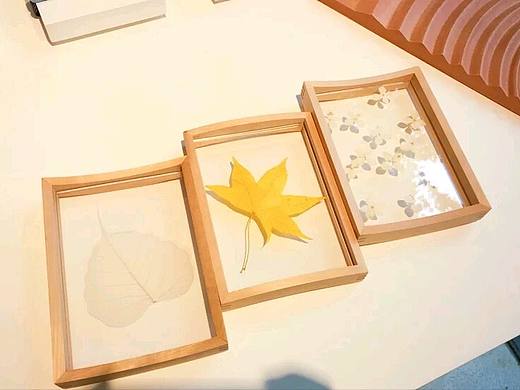 :leaves:植之物語:cherry_blossom:（個人主頁-ZMjcxMDEwNDA=） - 其他手工藝 - 站酷設(shè)計(jì)師洮知了原創(chuàng)素材 - 站酷ZCOOL