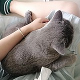 鱼鱼儿呀的头像