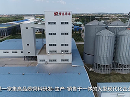 青岛禾丰