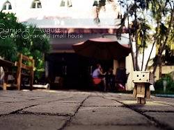 lomo