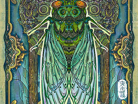 机械昆虫系列—蝉!