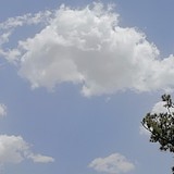 90后小猫仔爱吃的头像