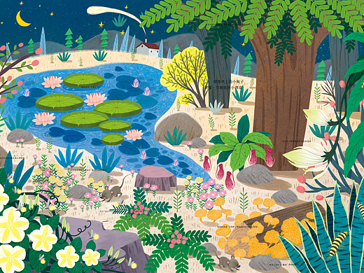 揭秘夜晚翻翻书