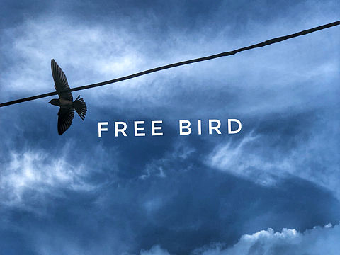 很藍(lán)的天（個(gè)人主頁-ZMjg2NzAwMDQ=） - 風(fēng)光攝影 - 站酷設(shè)計(jì)師JeannieY原創(chuàng)素材 - 站酷ZCOOL