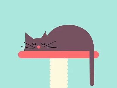 MG动画 sleeping cat