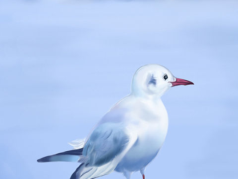 天气冷了（个人主页-ZNDk0MzEyMzI=） - 创作习作 - 站酷设计师Z30373564原创素材 - 站酷ZCOOL