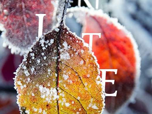 没啥 就想发个图