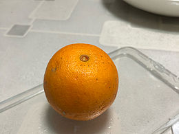 水果渲染