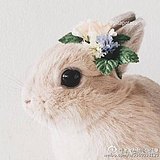冬小胖的头像