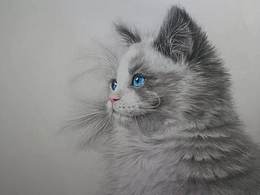 彩铅画