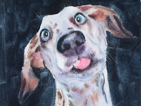 水彩狗狗
