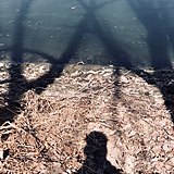 North_land的头像