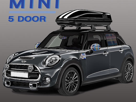 MINI CAR( 高仿真车)