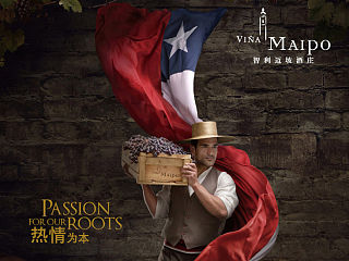 智利邁坡精品奉獻(xiàn)小西拉干紅葡萄酒的圖片設(shè)計(jì)（個(gè)人主頁-ZNTEwMzU2OA==） - 電商 - 站酷設(shè)計(jì)師無憂視覺原創(chuàng)素材 - 站酷ZCOOL