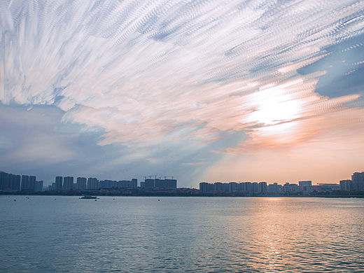 五缘湾一景（个人主页-ZMTU5MjA4OTI=） - 风光摄影 - 站酷设计师zjw1996原创素材 - 站酷ZCOOL