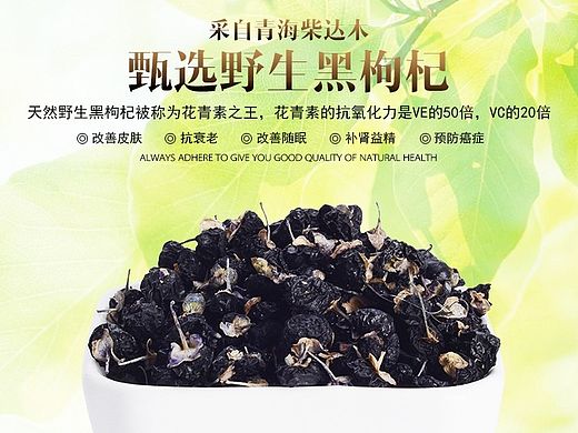 枸杞 黑枸杞 枸杞详情