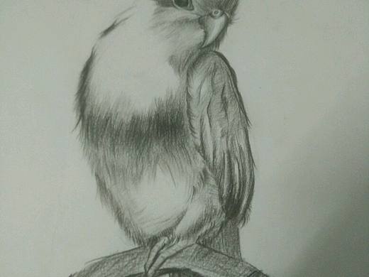 素描臨摹（個(gè)人主頁-ZMjE2NjE4MzY=） - 其他工業(yè)/產(chǎn)品 - 站酷設(shè)計(jì)師Slor原創(chuàng)素材 - 站酷ZCOOL