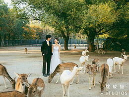 Color composition | 摄世物