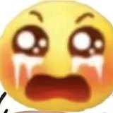 黄旎的头像