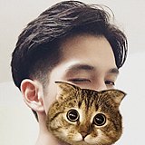 AdonisLi的头像