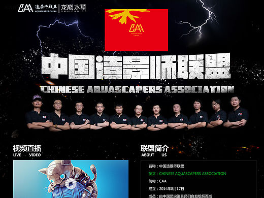 电商专题