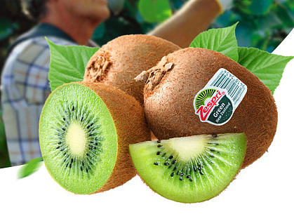 生鮮詳情（個人主頁-ZMjI5MjE2MzI=） - 電商 - 站酷設計師文西ice原創(chuàng)素材 - 站酷ZCOOL