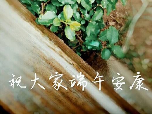 手机拍摄（个人主页-ZMjg2NzM4NjA=） - 风光摄影 - 站酷设计师依子6原创素材 - 站酷ZCOOL