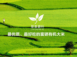 有機(jī)大米　　宣傳冊