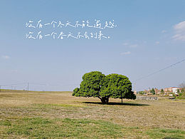 热爱生活