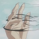 秃菜鸟的头像