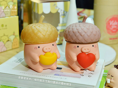 笙肖团子2019励志猪的祝福