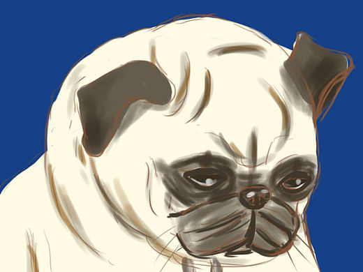 插画系列（个人主页-ZMTU3ODg2NzY=） - 创作习作 - 站酷设计师lucyworship原创素材 - 站酷ZCOOL