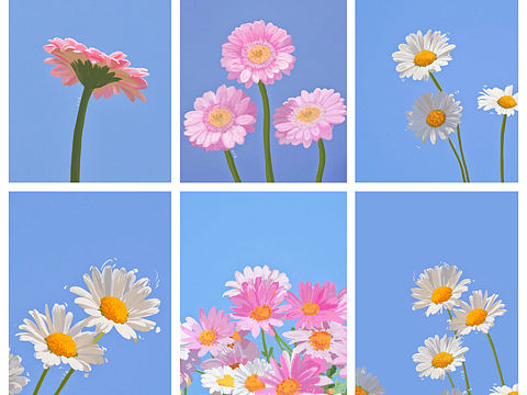 小雏菊