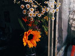 2020.6.8手機拍攝