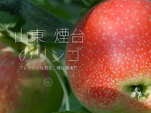 原创作品：烟台苹果 无关商业 随心排版