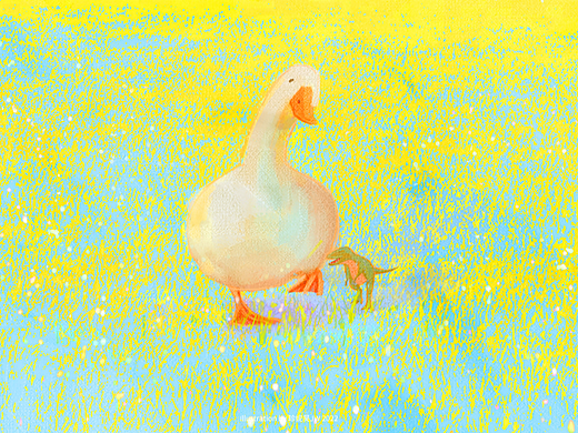 插画趣事|偶遇鸭！