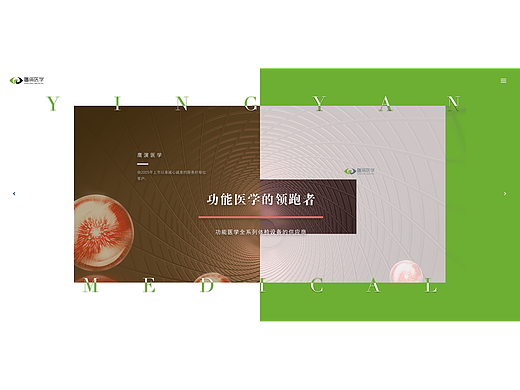 鹰演医学科技（北京）有限公司-官网（初期概念图)