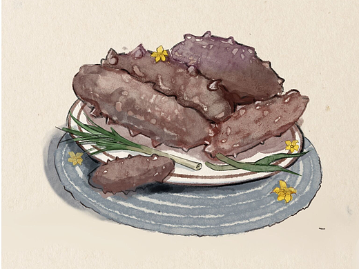 海参（个人主页-ZNjg2NjcyMjg=） - 商业插画 - 站酷设计师阿伫原创素材 - 站酷ZCOOL