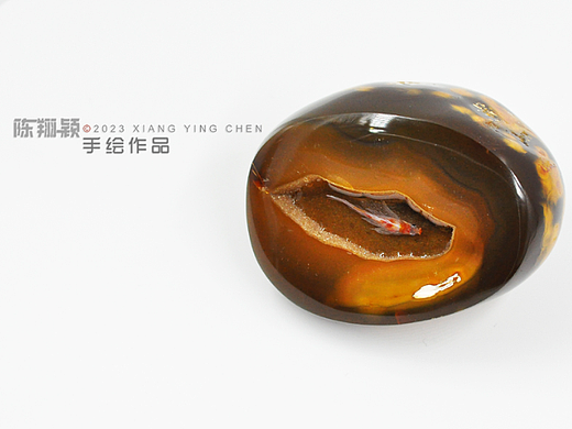 夜深花睡去